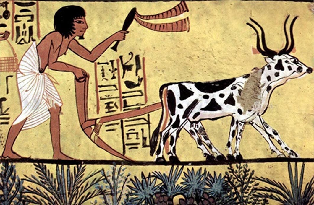 Ancient agriculture. Mural in the burial chamber of Sennedjem (circa 1200 BC) (Public Domain) Ancient agriculture. Mural in the burial chamber of Sennedjem (circa 1200 BC) (Public Domain)