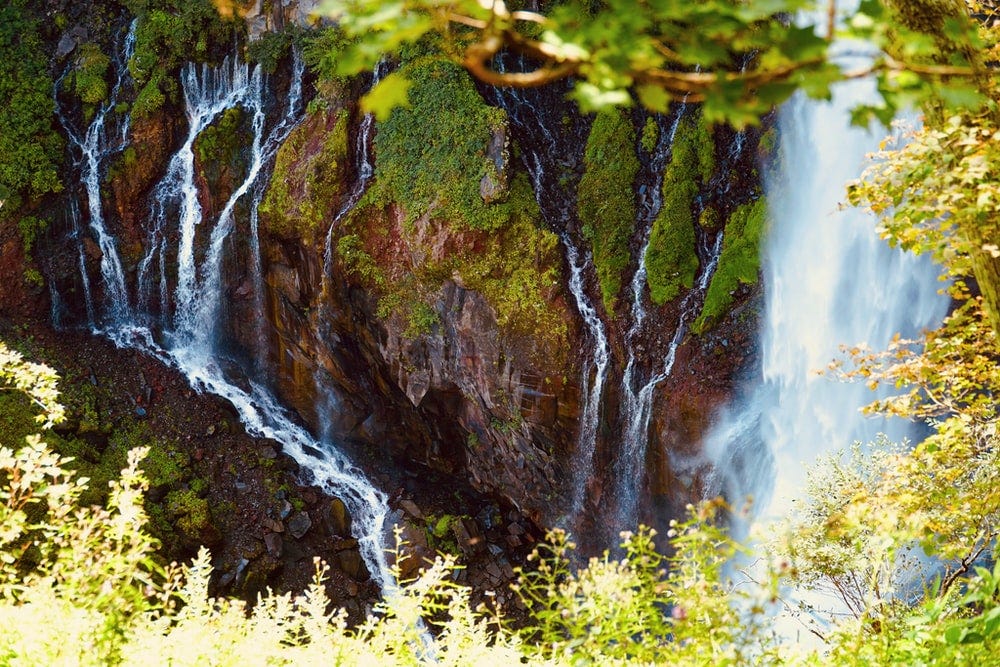 water falls in the forest