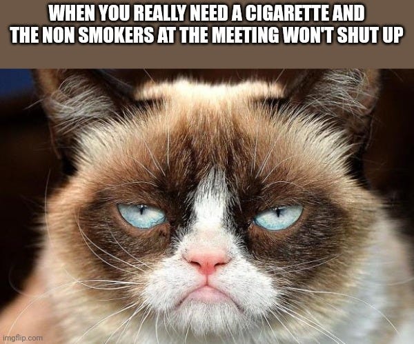 Grumpy Cat Not Amused Meme - Imgflip