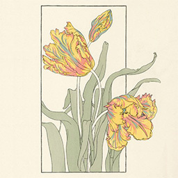 Both Sides Of The Window