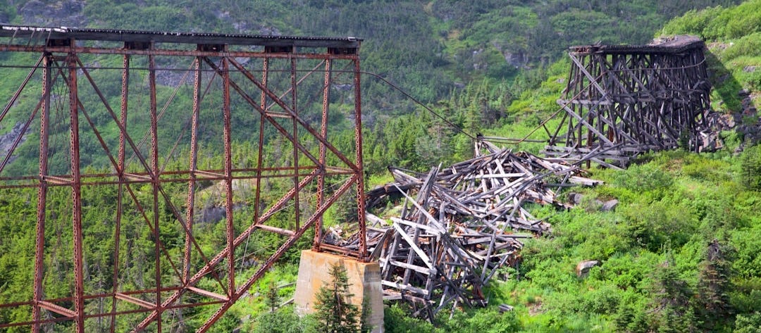 a bridge over a forest a bridge over a forest