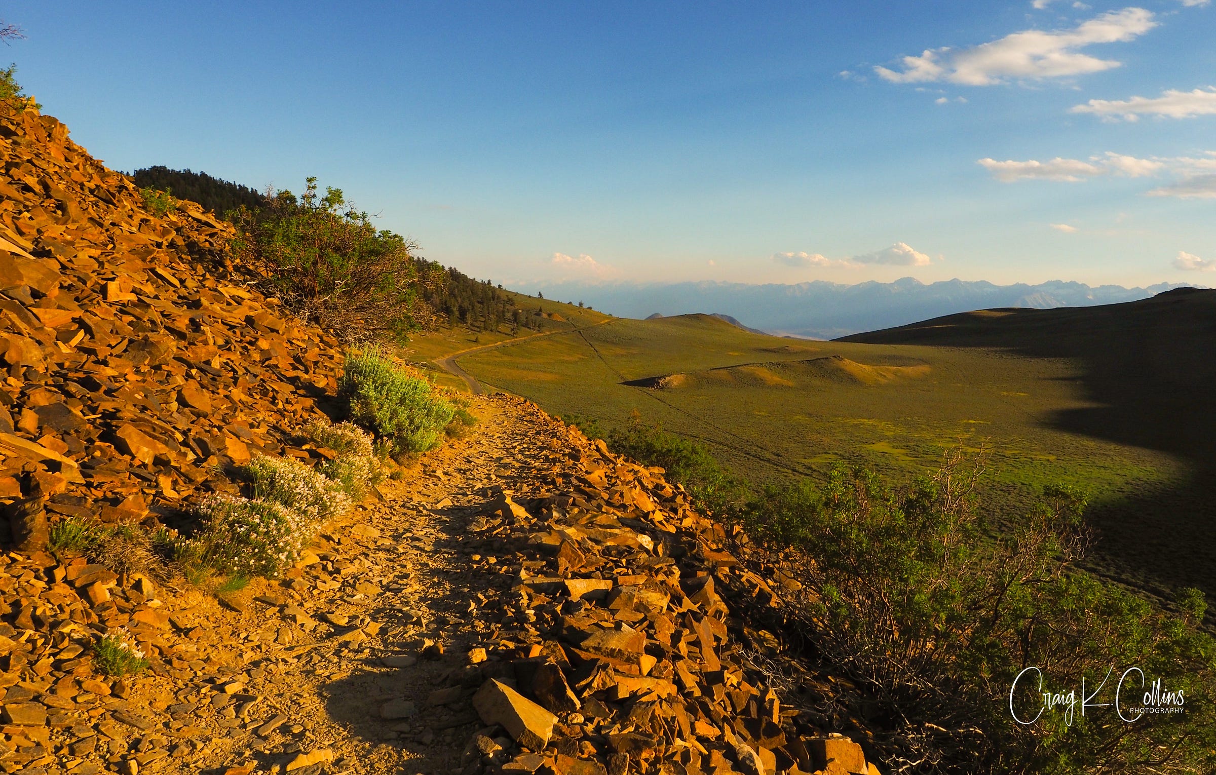 The Discovery Trail through the Schulman Grove takes hikers through an ancient grove of bristlecone pines that is home to the oldest living things on Earth. Several trees in this grove are between 4,000 and 5,000 years old. The 10,000-foot-high trail pictured here, provides visitors with views of the Owens Valley below, as well as the 14,000-foot-high Sierra peaks across the valley to the southwest. (Photo: ©Craig K. Collins)