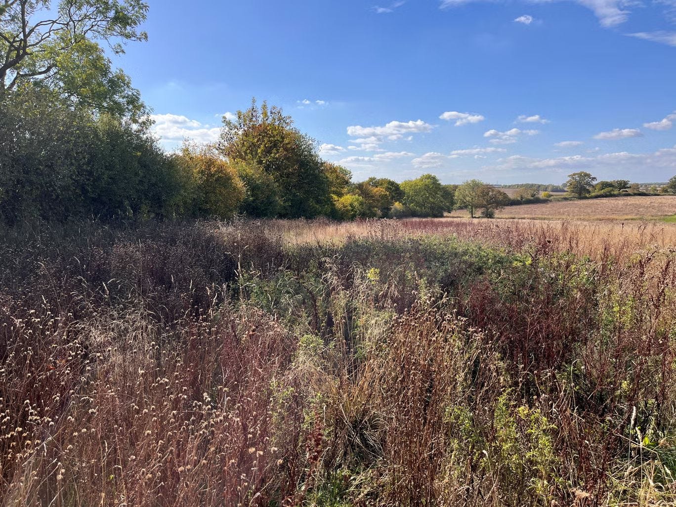 Boothby Wildland aims to be an 'exemplar' in using private finance to help nature