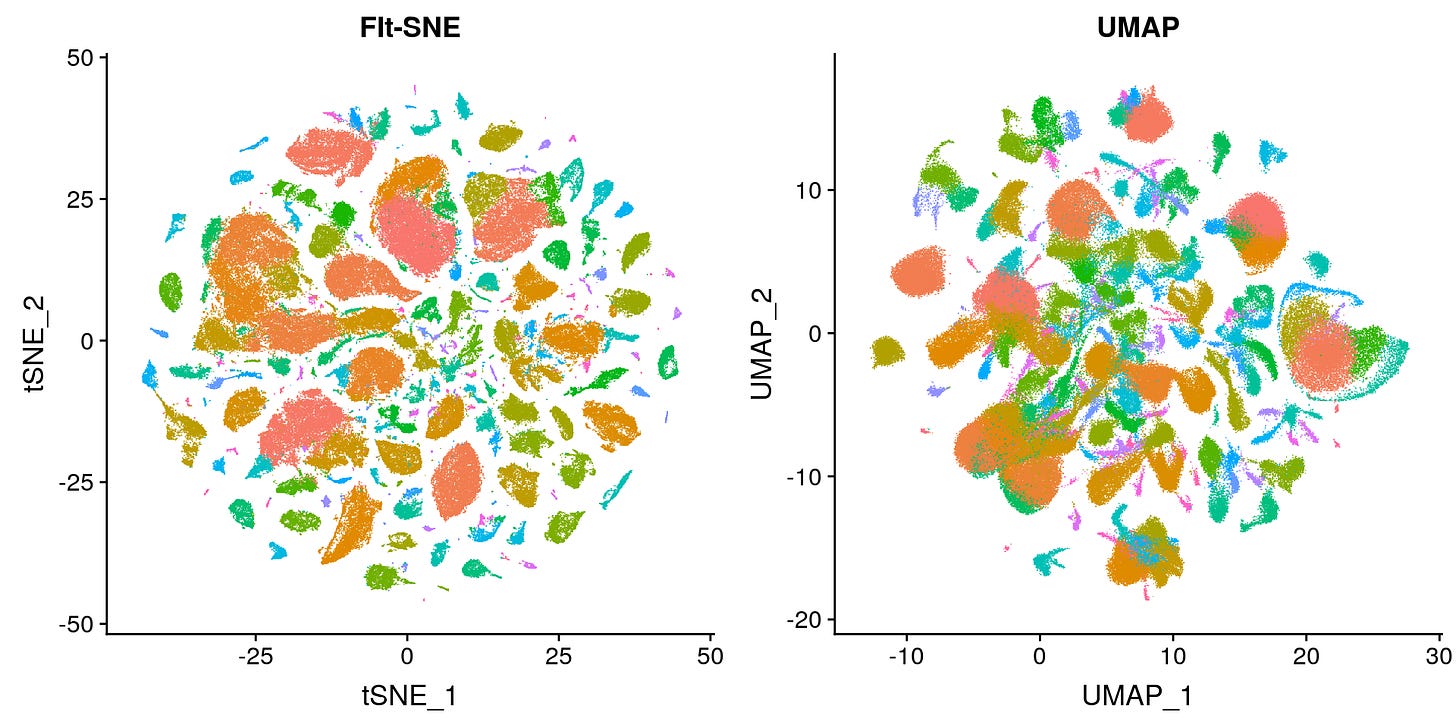 tSNE vs. UMAP: Global Structure. Why preservation of global structure ... tSNE vs. UMAP: Global Structure. Why preservation of global structure ...