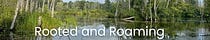 Rooted and Roaming 