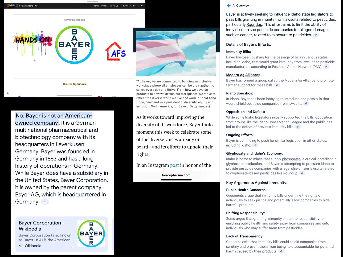 Read about Idaho Legislature: Dark Money, Double Standards, and the Hypocrisy in Idaho Politics. Everyone Hates Dark Money—Until It’s Their PAC. By Idaho Senator Glenneda ZUIDERVELD