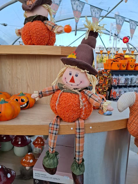 Pumpkins at the pumpkin patch