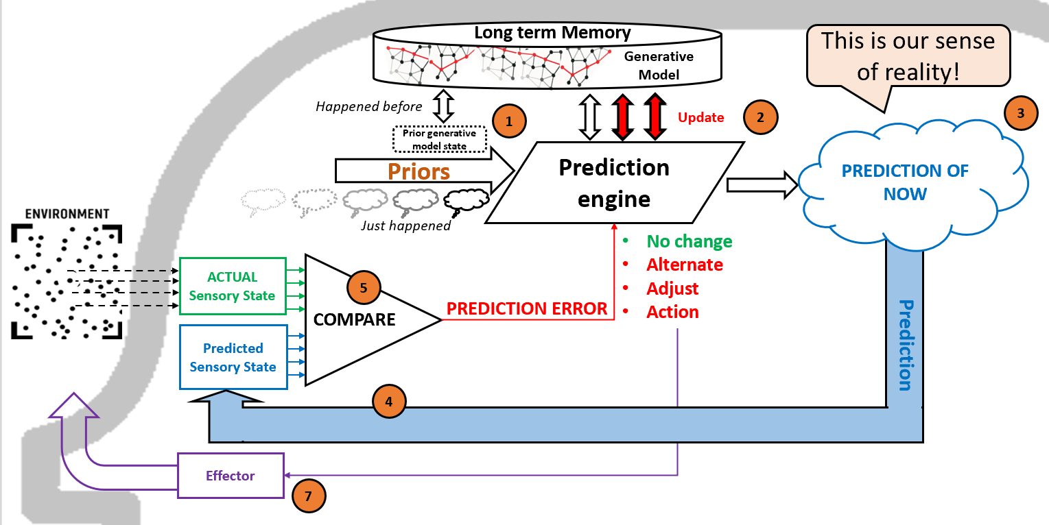 The 6 Stages of Crisis Through the Predictive Processing Theory Lens