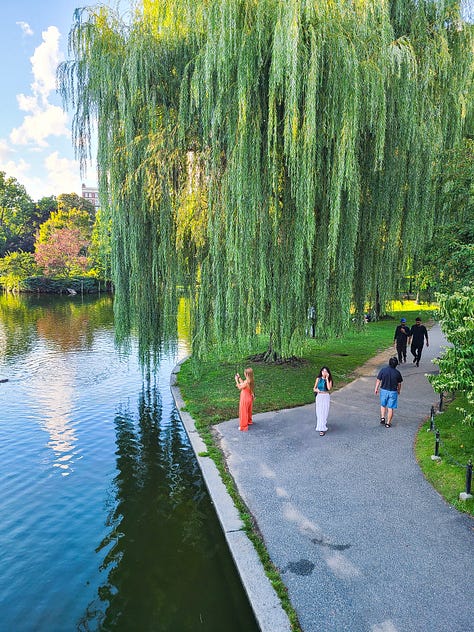 Charlestown sights! Parks and Pleasant St.
