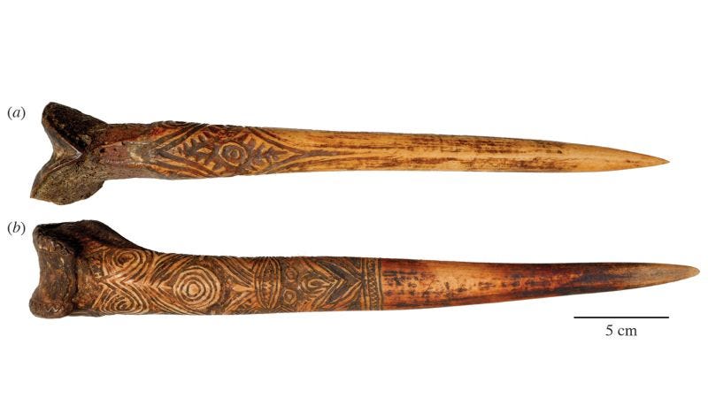 Why New Guinea warriors used human bones as formidable daggers | CNN Why New Guinea warriors used human bones as formidable daggers | CNN