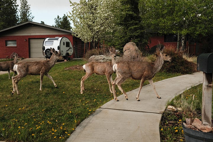 Tyler Knott Gregson Fuji photos of life in Montana