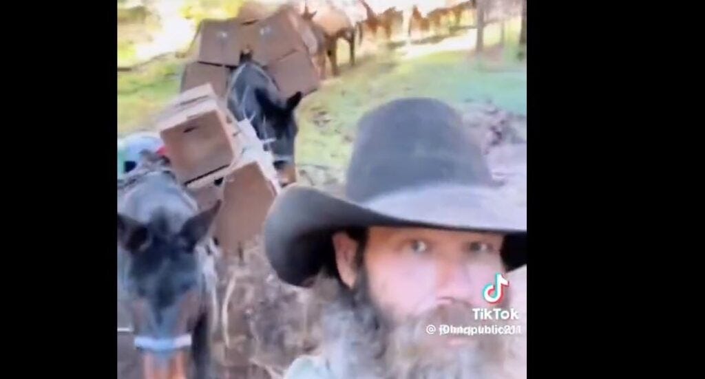 Mountain Mule Packers Deliver Relief Supplies to North Carolina Flood Victims as Biden-Harris Regime Fails – MUST-SEE VIDEO 