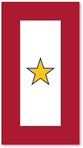 Amazon.com: Gold Star Mother's Service Flag Magnet : Automotive