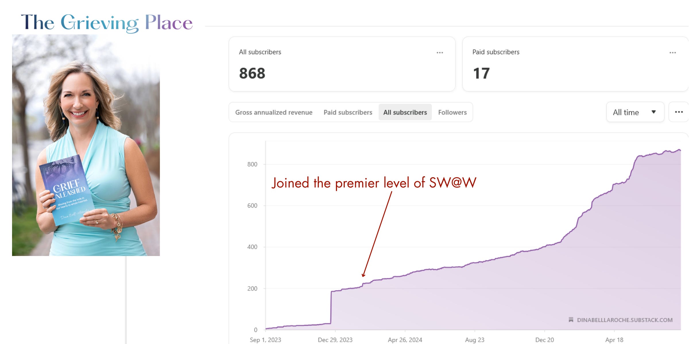 The 2026 Substack Premier Membership - by Sarah Fay, PhD