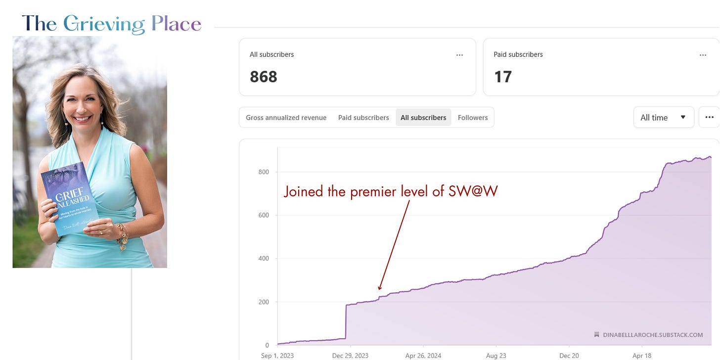 The 2026 Substack Premier Membership - by Sarah Fay, PhD
