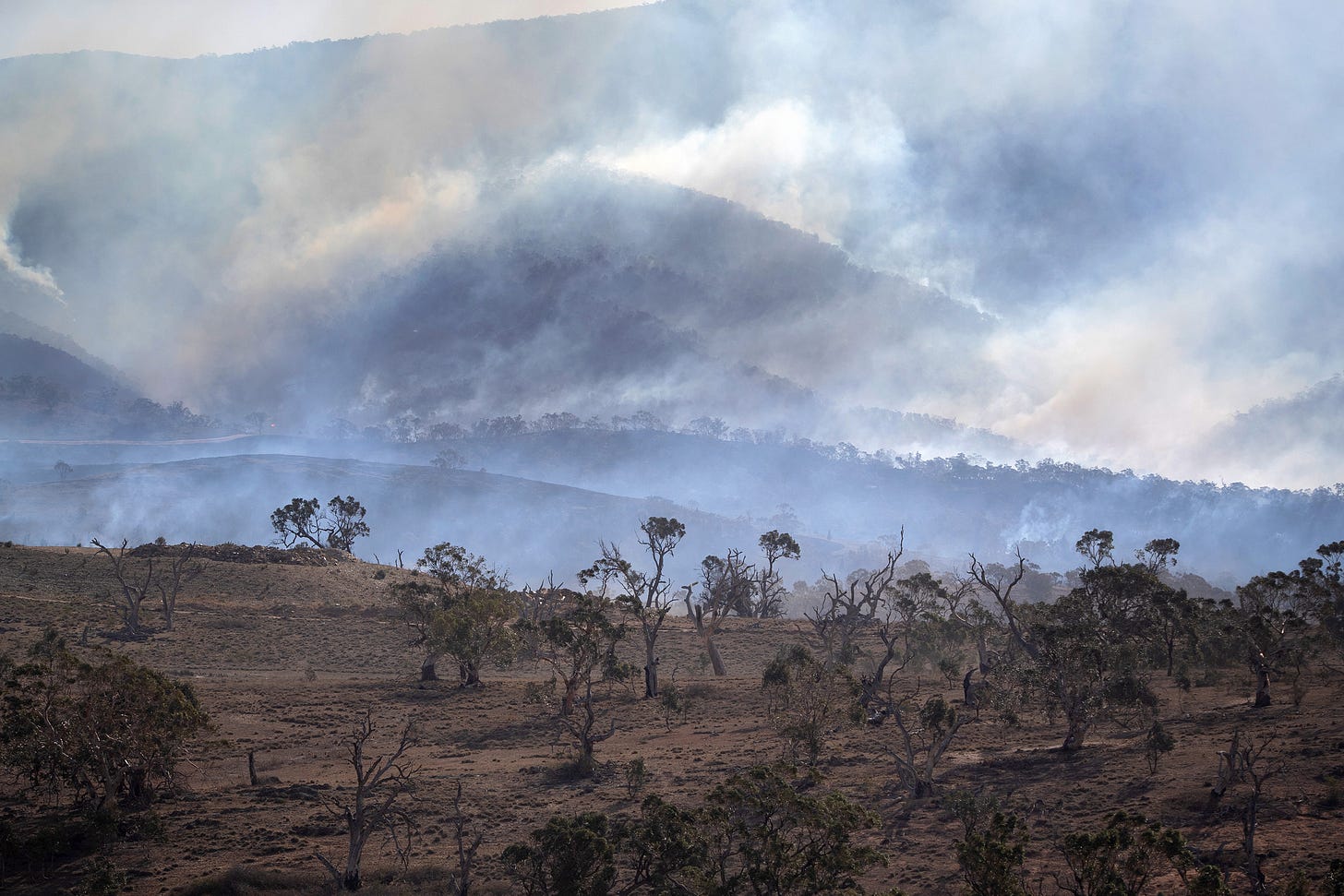 The cost of climate change: 5 charts showing the effects on the global  economy by 2100 | Fortune