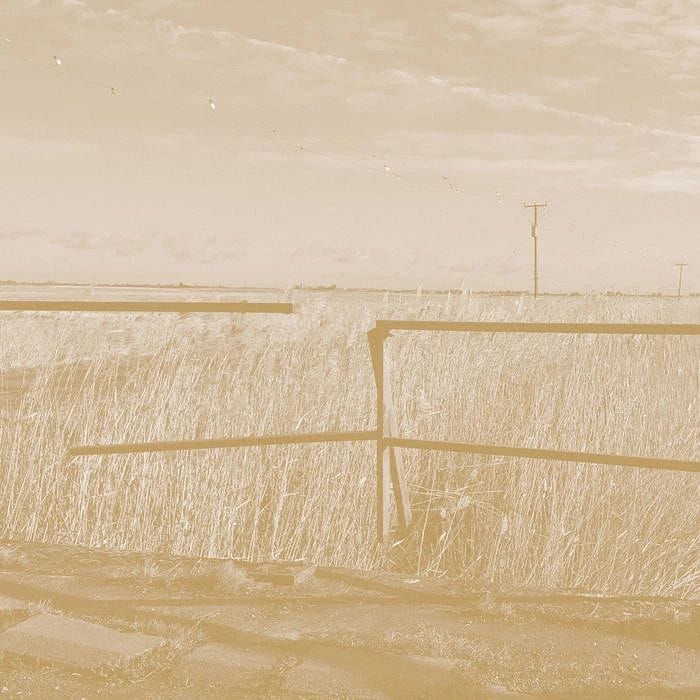 Long Drove by Simon Scott