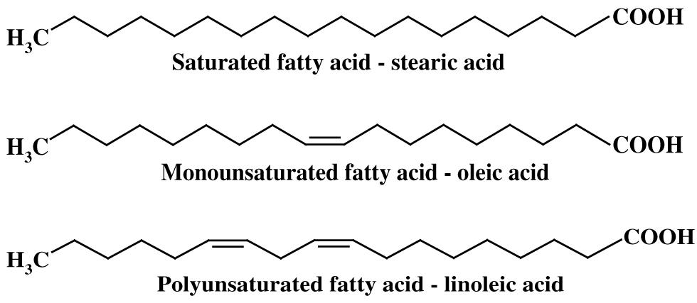 Dinh | Fatty Acid Composition of Meat Animals as Flavor Precursors | Meat  and Muscle Biology