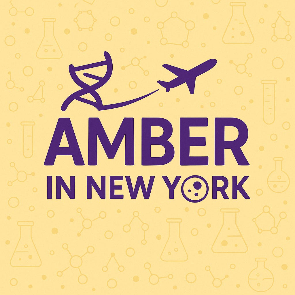 Amber in New York logo