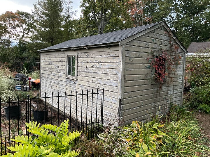 Before photos of the shed: In 2013 with the old driveway, and ten years later with gardens around it in September 2023.