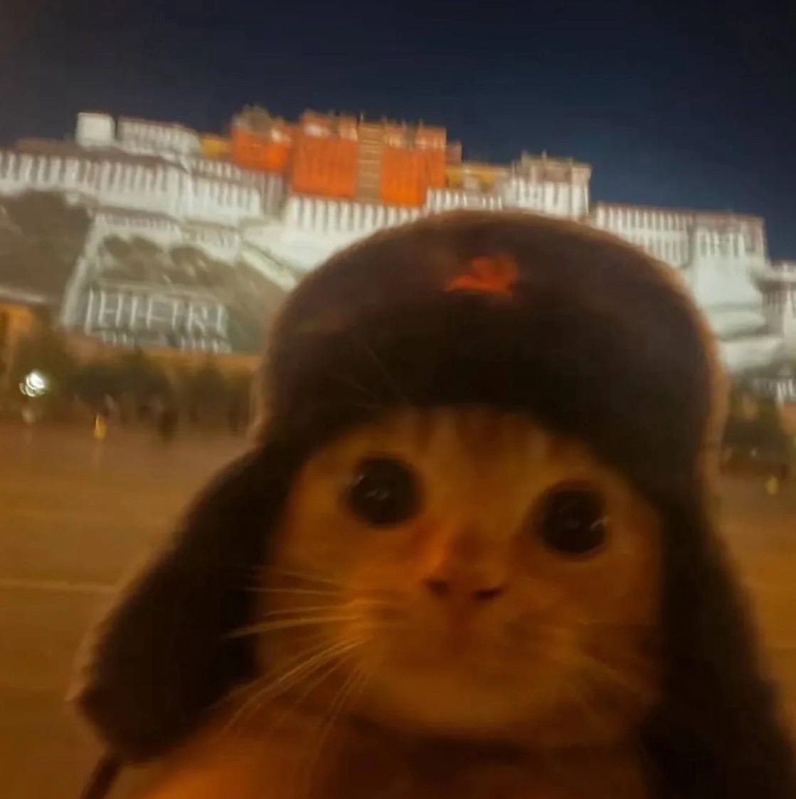 Artwork for Jake’s Literary Criticism Substack