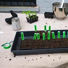 An urban gardening guide (part two)