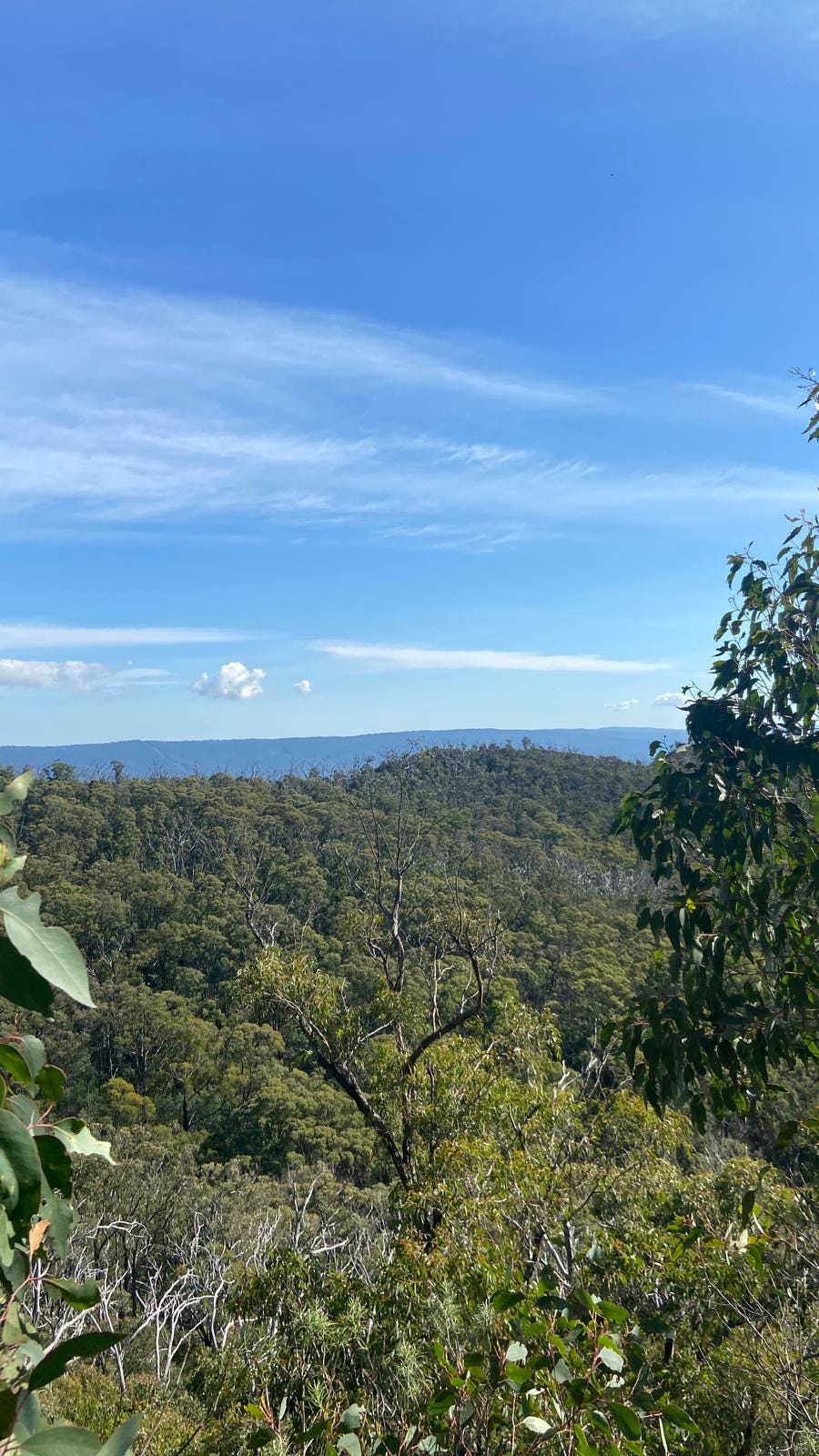 Cathedral Range State Park