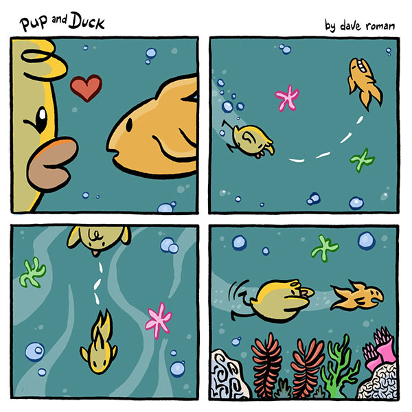 Duck falls in love with the fish. The fish, frightened, swims away. Duck swims after it.