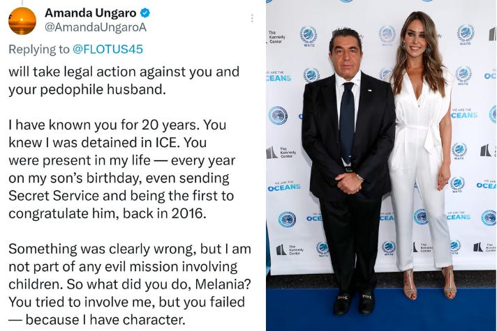 This is not a cryptic post. It is Amanda Ungaro naming Melania directly, invoking two decades of proximity, ICE detention, and an accusation she says she refused to participate in.