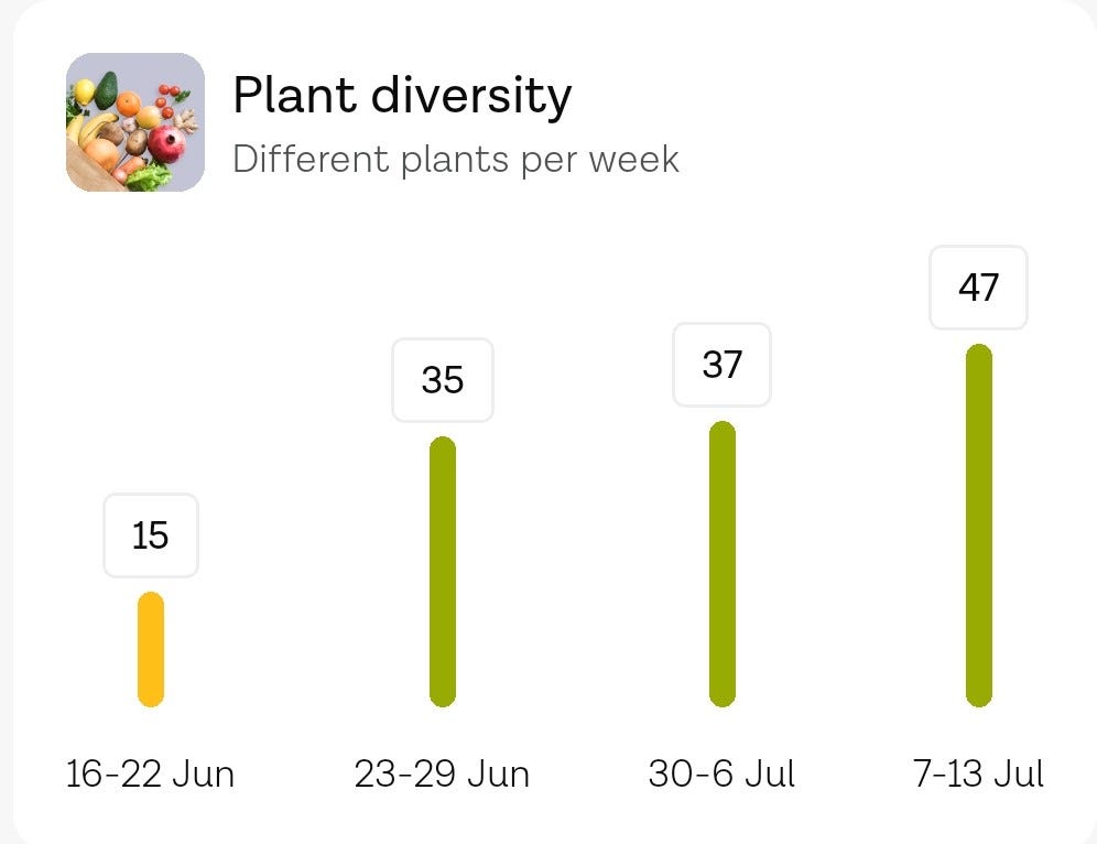 My (unplanned) summer wellness transformation