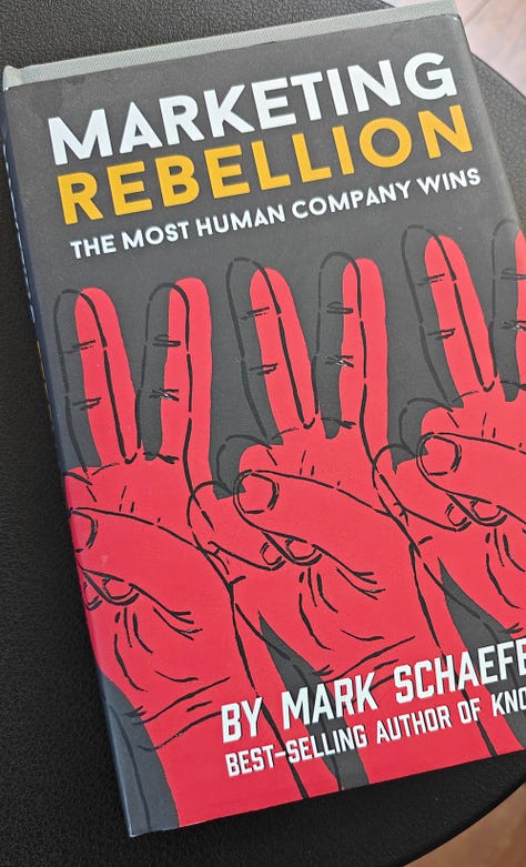 Book snippets: the most human company wins