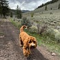 Bobbie Stacey Resists's avatar