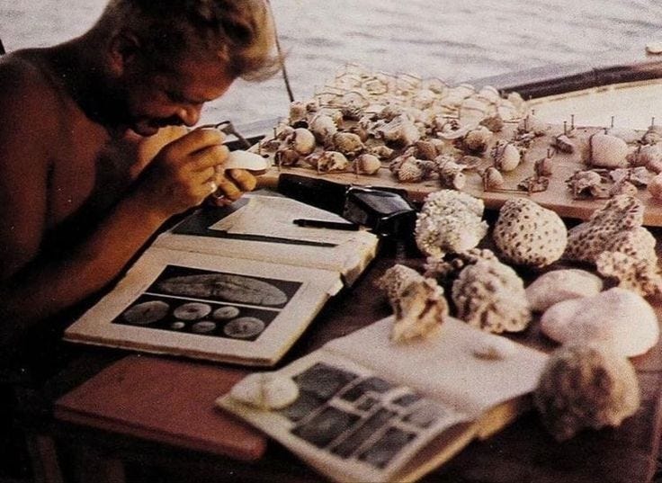This may contain: a man sitting at a table covered in sea shells next to an open book and magazine