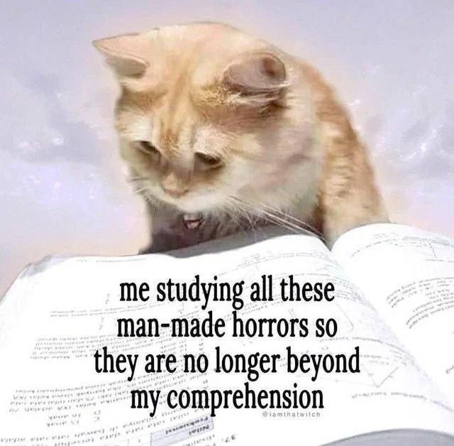 A cream-colored cat looking down at an open book with text overlay about studying horrors beyond comprehension.