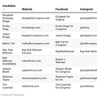 2026 VA-01 Democratic primary candidates: info, interviews, & appearances