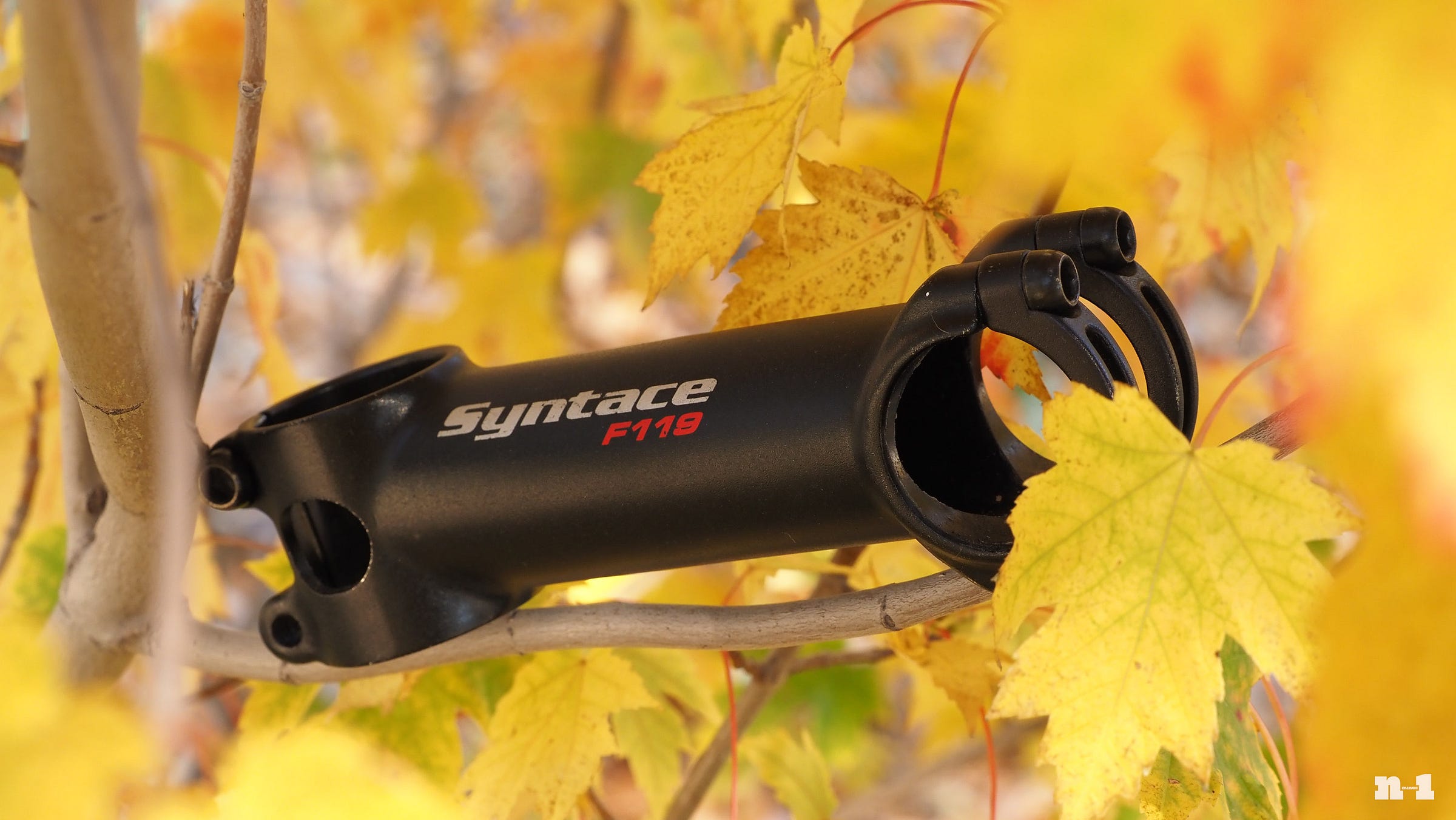 Syntace F119 stem