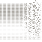The Inevitable Chaos: Entropy in Physics, Information, and Organizations