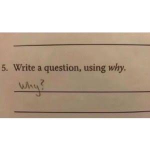 5. Write a question, using why. Why? : Second Language Strategies 5. Write a question, using why. Why? : Second Language Strategies