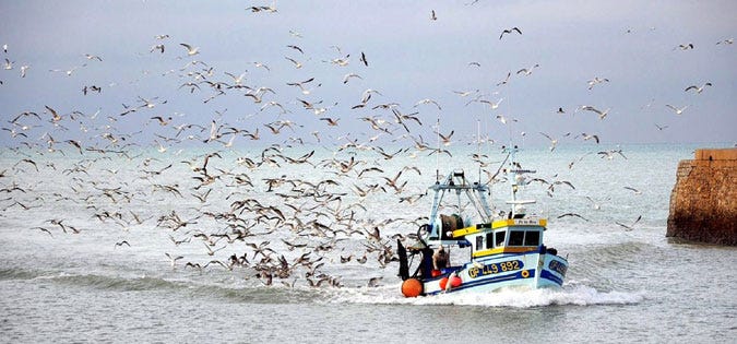 Seagulls as an Image of the Evil Spirit - Ignatian Spirituality