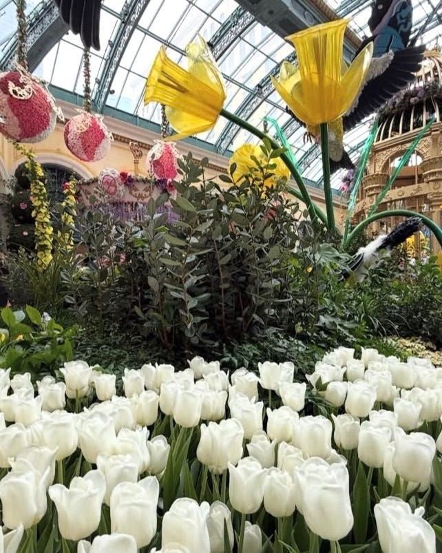 Bellagio Conservatory & Botanical Garden Spring Display