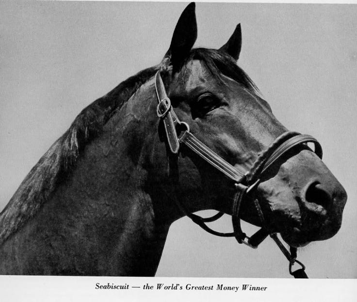 Seabiscuit | Show horses, Horses, Horse love Seabiscuit | Show horses, Horses, Horse love