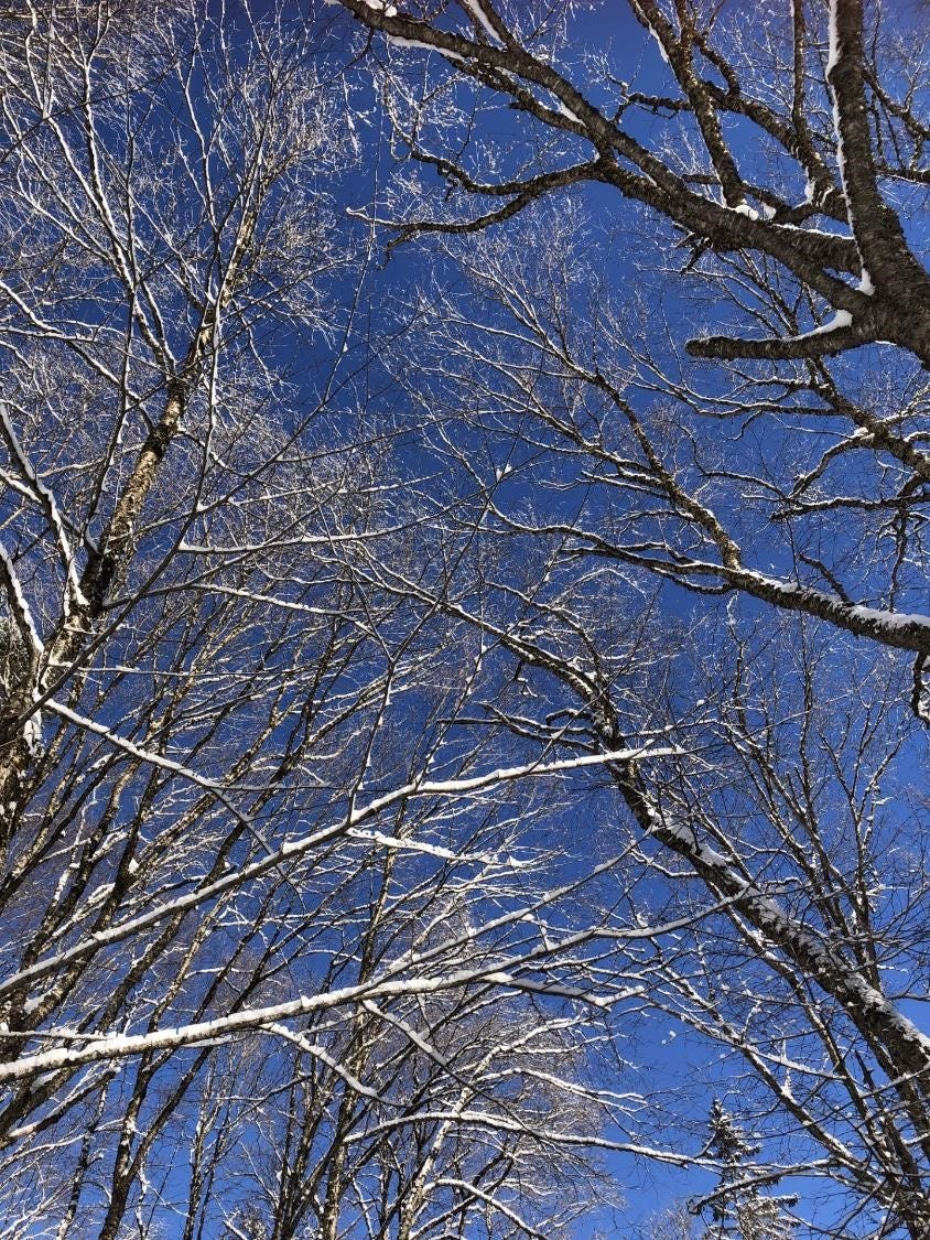 Février c’est ce ciel bleu