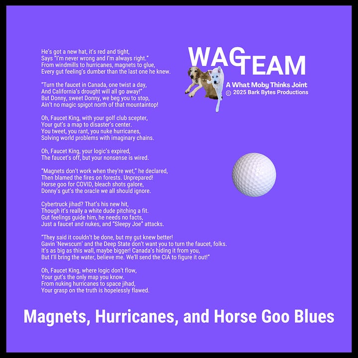 Left -Cover art for ‘Magnets, Hurricanes, and Horse Goo Blues’: a giant faucet labeled ‘(Cannida)’ drips water marked ‘truth,’ surrounded by maple-leaf golf balls and flames, with a triumphant figure celebrating nonsense. Right - Lyrics page for ‘Magnets, Hurricanes, and Horse Goo Blues,’ featuring bold text, WagTeam branding, and a playful golf ball on a sharp purple backdrop.