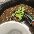 An AI Model Is Keeping This Thing Alive