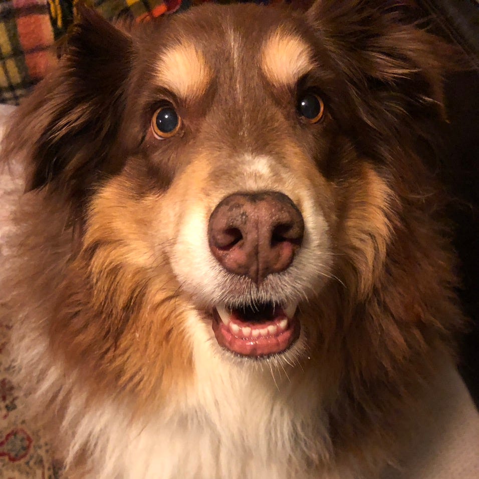 Notes From the Margins