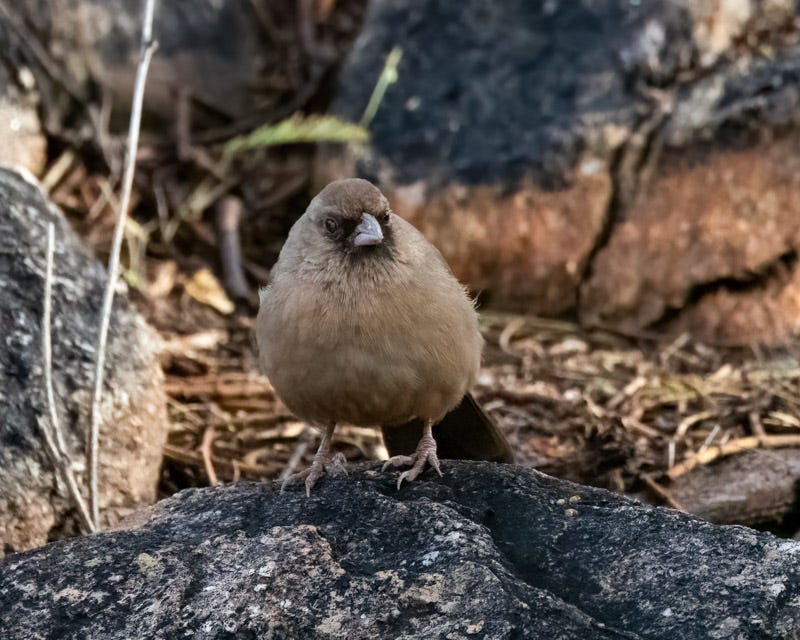 20240123-mby-48-Edit.jpg