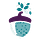 Living Oak Leadership