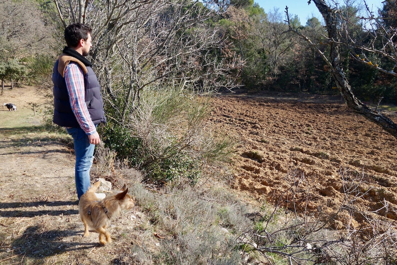 julien besson domaine de la cavalière provence luberon lourmarin new tilled parcel