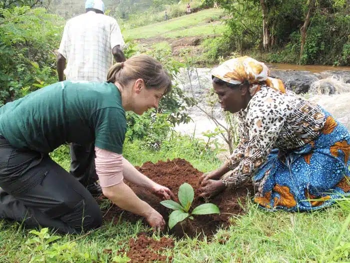 Wangari Maathai y el Movimiento Cinturón Verde | Ornitorrinco https%3A%2F%2Fsubstack post media.s3.amazonaws.com%2Fpublic%2Fimages%2F8b1fdb92 03ec 4bb2 bccb | Wangari Maathai y el Movimiento Cinturón Verde | Ornitorrinco