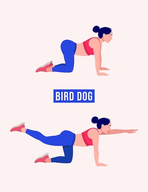 Bird Dog exercise Woman workout fitness aerobic and exercises